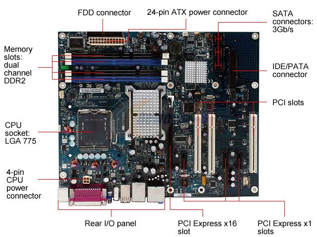 Intel D845pesv Motherboard Drivers For Mac - dreampowerup